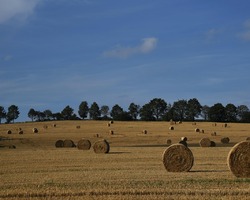 foto bij artikel