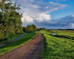 foto bij artikel