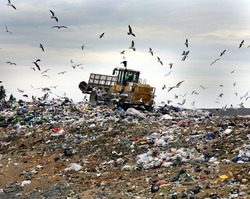 foto bij artikel